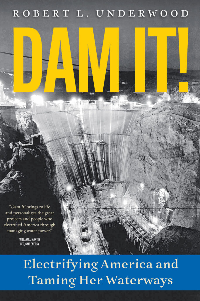 cover image: Dam It! by Bob Underwood